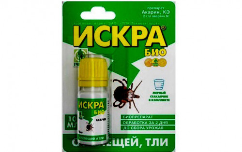 Iskra-BIO8f4a0ffb52e78aae.jpg