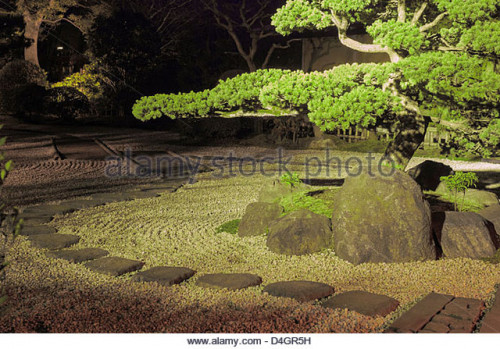 pine tree inside japanese zen garden with stone way around and scenic d4gr5h