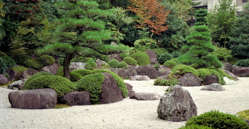 zengarten-mimuroto-ji-dry14d702b153178c415.jpg