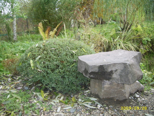 h-221be6c73e3642d654a.jpg