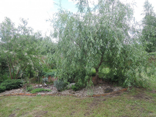 h-36057d032e237cecaa1.jpg