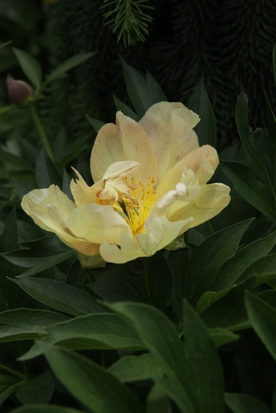 x_07bf0298b94adfd71a688ac5.jpg