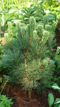 7r8eru-tpid9753c24cb6f9a67.jpg