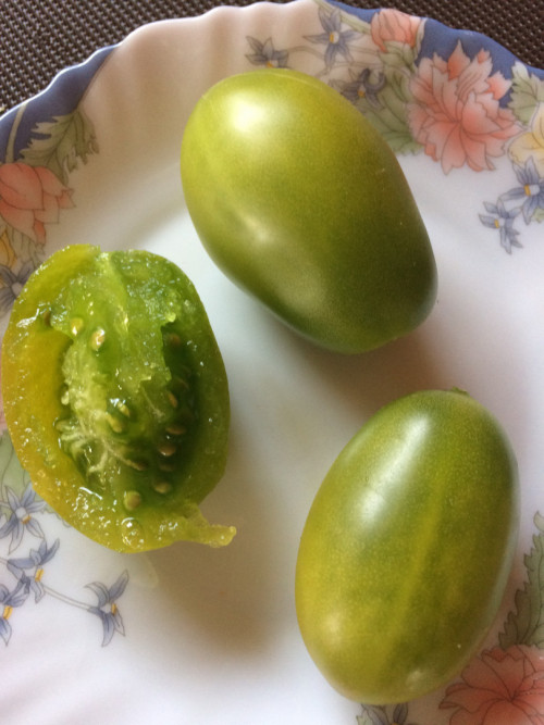 томат Chili Verde8