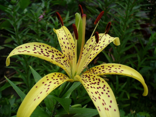 0_9f77d_abfb6549_XL27bdaa608b603cbd.jpg