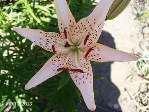 0_d344b_55354914_M7dfc1d0c04ec509d.jpg