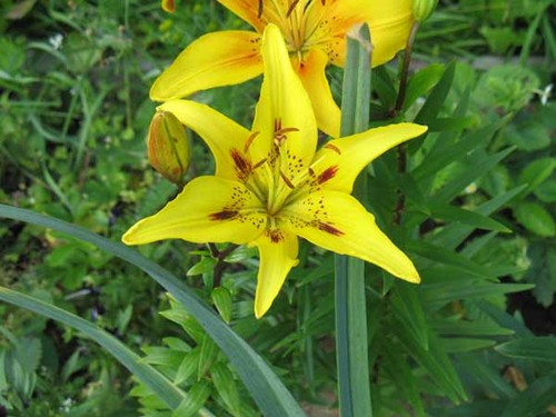 i-8850357ac43dca7be6.jpg