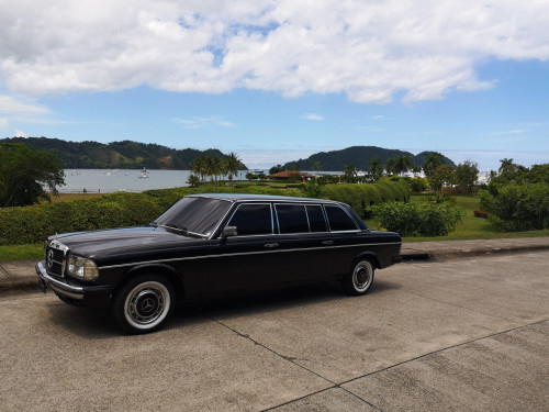 BEACH-VIEW-COSTA-RICA.-MERCEDES-300D-W123-LANGa5b2420a145a97ac.jpg