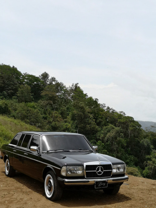 CARTAGO-MOUNTAIN-FOREST.-COSTA-RICA-300D-W123-LIMOUSINE70306532345884a0.jpg