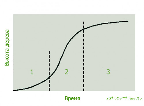 Izmenenie-v-vyisotu5da05de12ed87df3.jpg