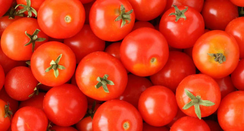 Способы ускорить созревание томатов