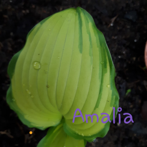 20190511_201751bb80f534cb72884f.jpg